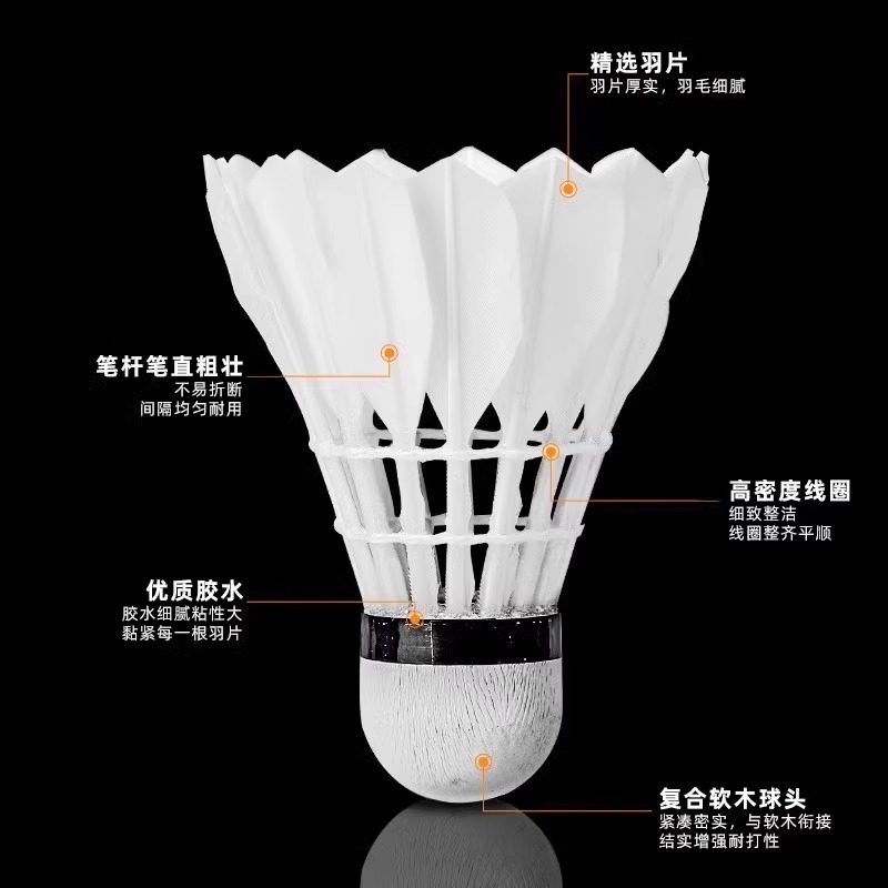 Lion Badminton Shuttlecock Gan - Badminton Bwf recensie en prijs