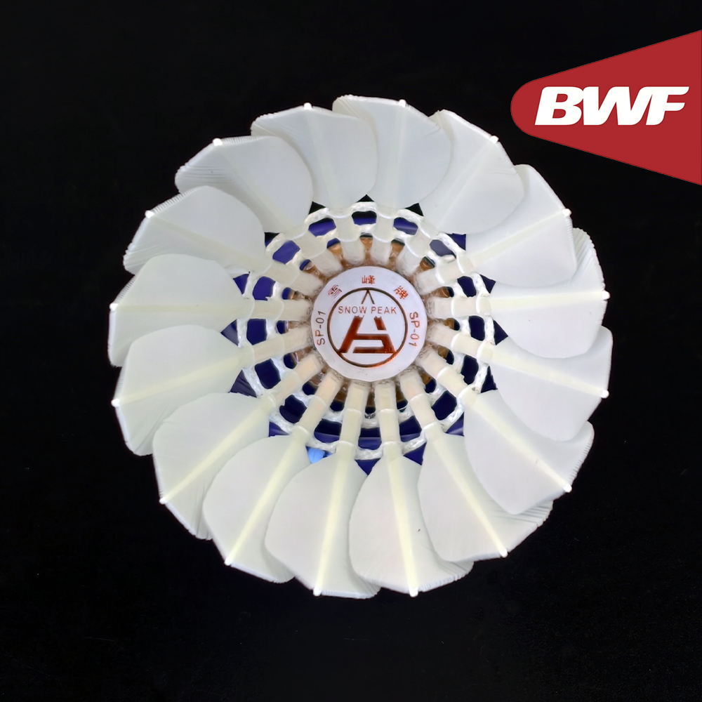 SP-01 Professionele Toernooikw - Badminton Bwf recensie en prijs